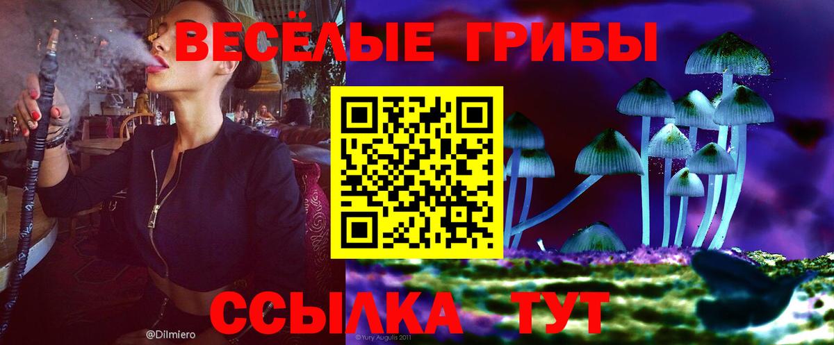 Галлюциногенные грибы ЛСД Углич
