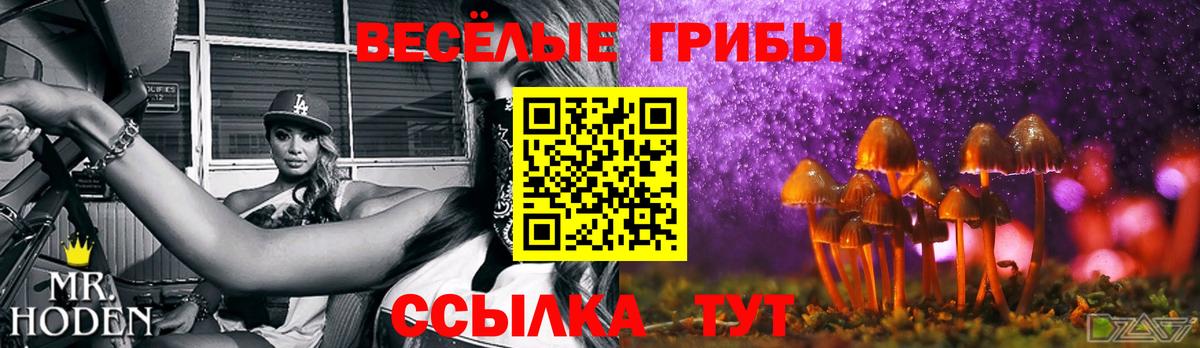 наркошоп  Псилоцибиновые грибы прущие грибы  Углич  Вход с VPN  Псилоцибиновые грибы Psilocybine cubensis 